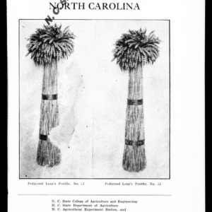 Improved Seed Wheat for North Carolina (Extension Circular No. 106)
