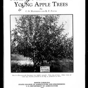 Training and Pruning Young Apple Trees (Extension Circular No. 147)