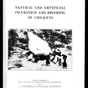 Natural and Artificial Incubation and Brooding of Chickens (Extension Circular No. 155)