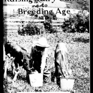 Raising Dairy Calves to Breeding Age (Extension Circular No. 177)