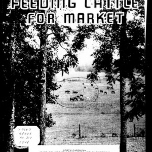 Feeding Cattle for Market (Extension Circular No. 217, Revised)