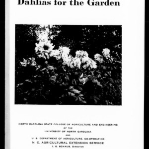 Dahlias for the Garden (Extension Circular No. 230)