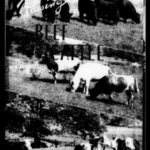 Raising Beef Cattle in North Carolina (Extension Circular No. 268)