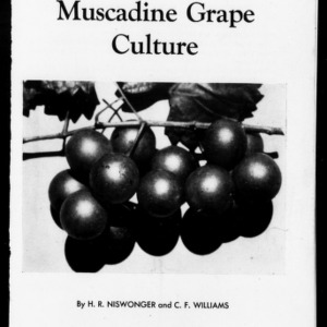 Muscadine Grape Culture (Extension Circular No. 306)