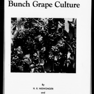 Bunch Grape Culture (Extension Circular No. 311)