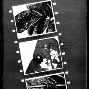 Vegetable Insects of North Carolina, 1955 (Extension Circular No. 313, Revised)