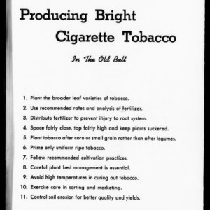 Producing Bright Cigarette Tobacco in the Old Belt (Extension Circular No. 314)