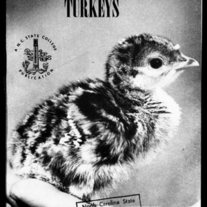 Brooding and Growing Turkeys (Extension Circular No. 315) [Revised]