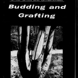 Fruit Trees and Ornamentals - Budding and Grafting, 1958 (Extension Circular No. 326, Revised)