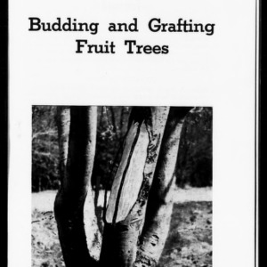 Budding and Grafting Fruit Trees (Extension Circular No. 326)