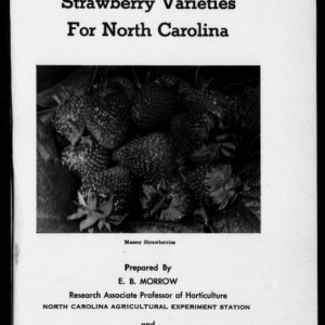 Strawberry Varieties in North Carolina (Extension Circular No. 336A)