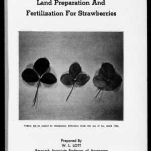 Land Preparation and Fertilization for Strawberries (Extension Circular No. 336F)