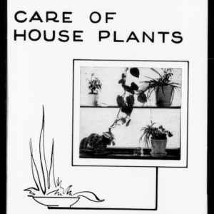 Care of House Plants (Extension Circular No. 340)