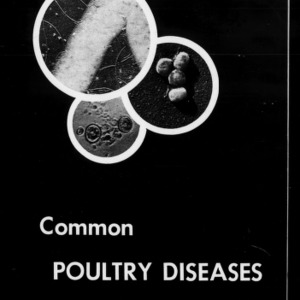 Common Poultry Diseases, 1953 (Extension Circular No. 344, Revised)