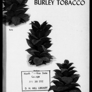 It Pays to Prime Burley Tobacco (Extension Circular No. 367)