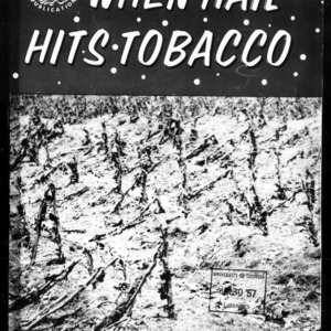 What Can Be Done When Hail Hits Tobacco? (Extension Circular No. 398)