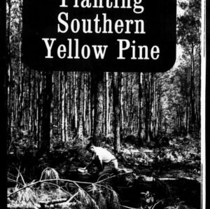 Planting Southern Yellow Pine (Extension Circular No. 424)