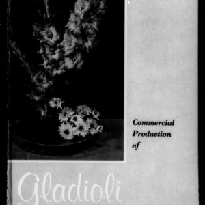 Commercial Production of Gladioli in North Carolina (Extension Circular No. 448)