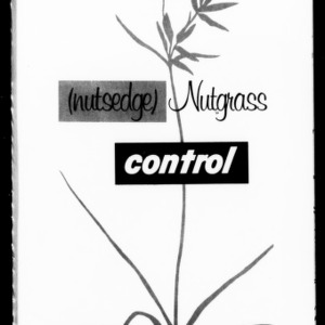 Nutsedge (Nutgrass) Control (Extension Circular No. 452, Replaces Folder 109)