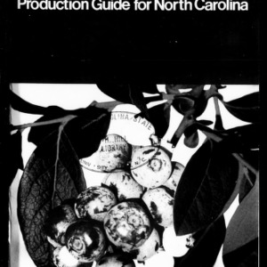 Commercial Blueberry Production Guide for North Carolina (Extension Circular No. 474, Revised)