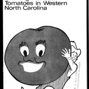 Growing Trellised Tomatoes in Western North Carolina (Circular No. 475)