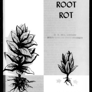 Control Black Root Rot in Burley Tobacco (Circular No. 477, Replaces Leaflet 116)
