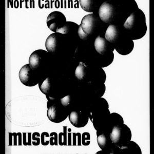 Marketing North Carolina Muscadine Grapes (Circular No. 500)