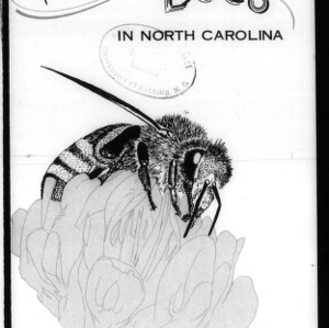 Honey Bees in North Carolina, 1973 (Circular No. 512, Revised)
