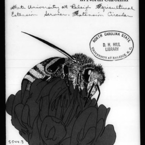 Honey Bees in North Carolina, 1975 (Circular No. 512, Revised)