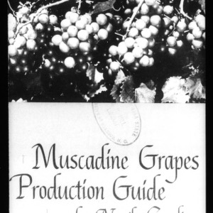 Muscadine Grapes Production Guide for North Carolina (Circular No. 535, Revised)