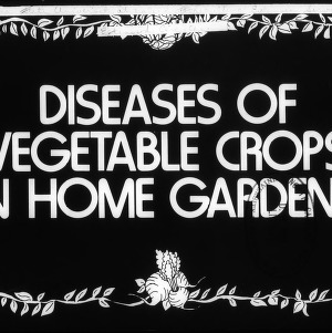 Diseases of Vegetable Crops in Home Gardens (Circular No. 598)