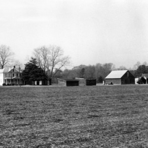 View, Rountree-Blanchard Farm, Gatesville, Gates County, North Carolina