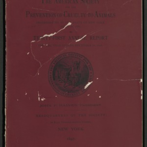 ASPCA Thirty-First Annual Report, 1896