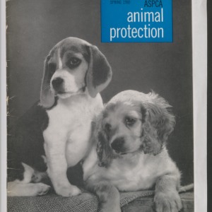 ASPCA Animal Protection, Spring 1960
