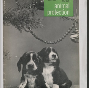 ASPCA Animal Protection, Winter 1960