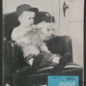 ASPCA Animal Protection, Spring 1962
