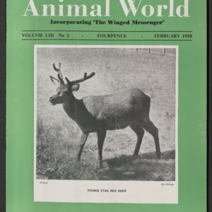 Animal World, February 1958