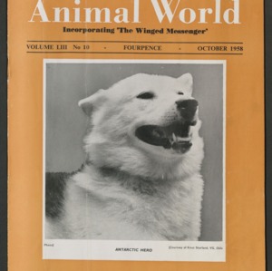 Animal World, October 1958