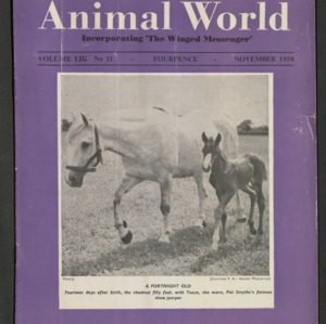 Animal World, November 1958