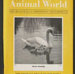 Animal World, November 1952