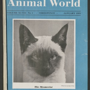 Animal World, January 1953