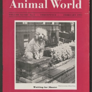 Animal World, February 1953