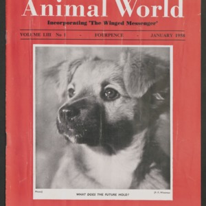 Animal World, January 1958