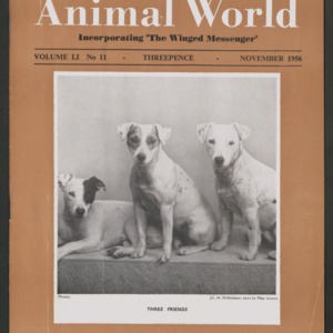 Animal World, November 1956