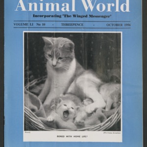 Animal World, October 1956
