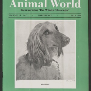 Animal World, July 1956
