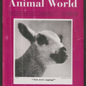 Animal World, October 1953