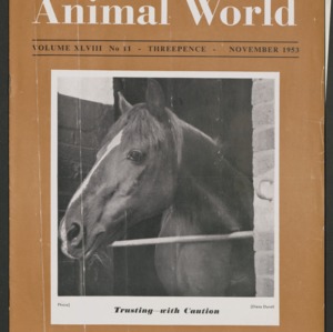 Animal World, November 1953