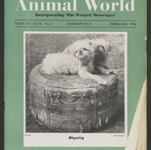 Animal World, February 1954