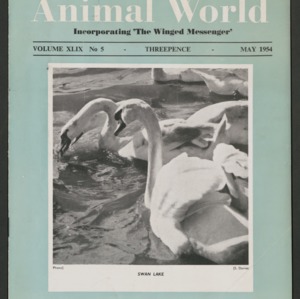 Animal World, May 1954